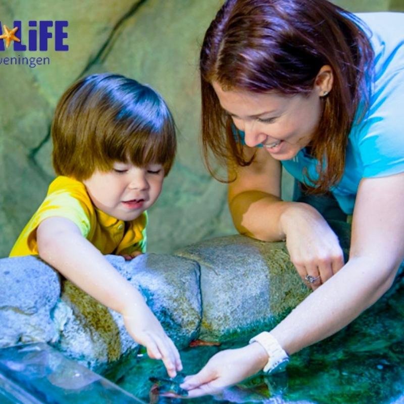 Kaartjes met korting voor sea life in Scheveningen