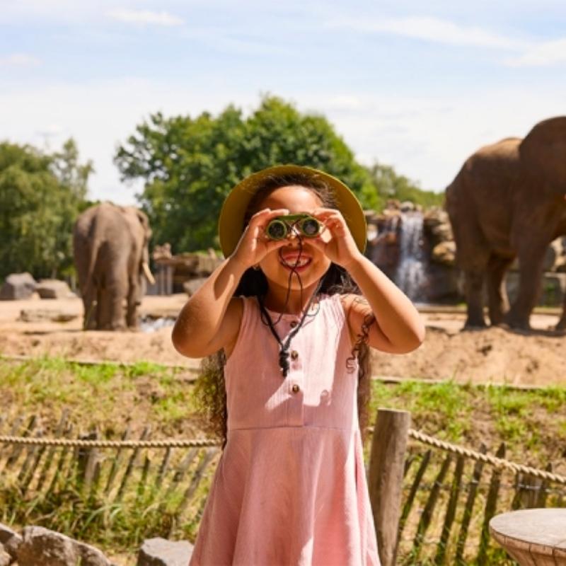 Kaartjes met korting voor Safaripark Beekse Bergen in Hilvarenbeek