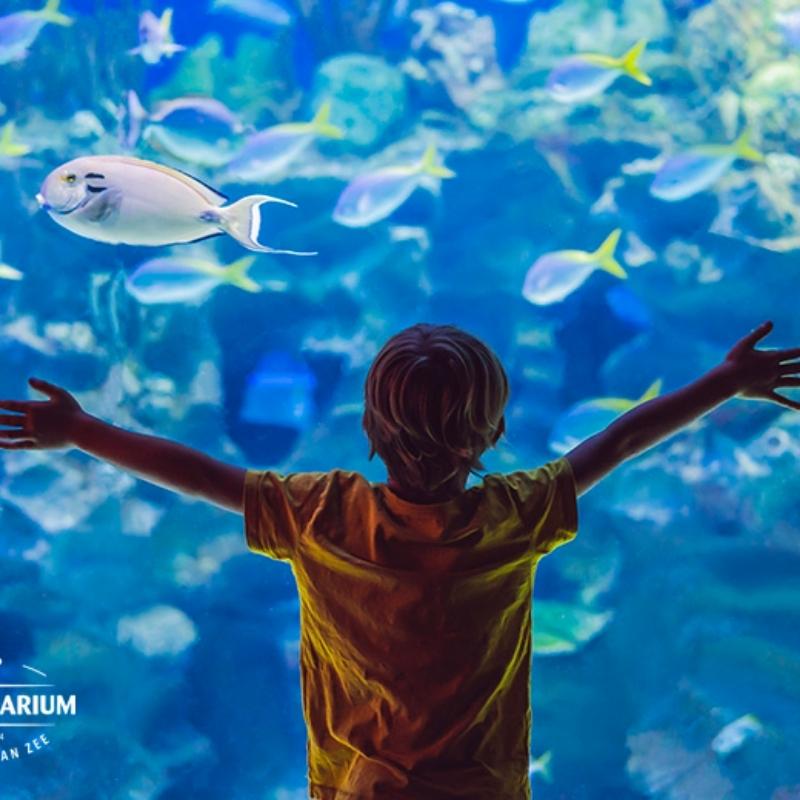 Kaartjes met korting voor Het Zee Aquarium Bergen aan Zee