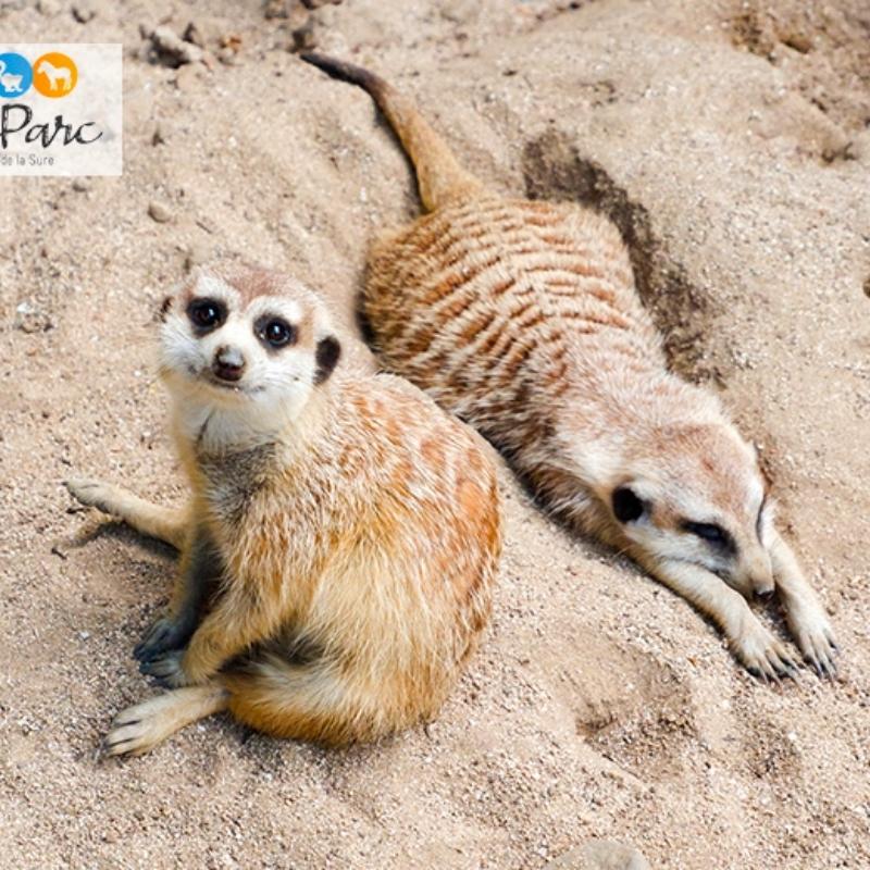 Kaartjes met korting voor ZooParc Vallée de la Sûre in de Ardennen