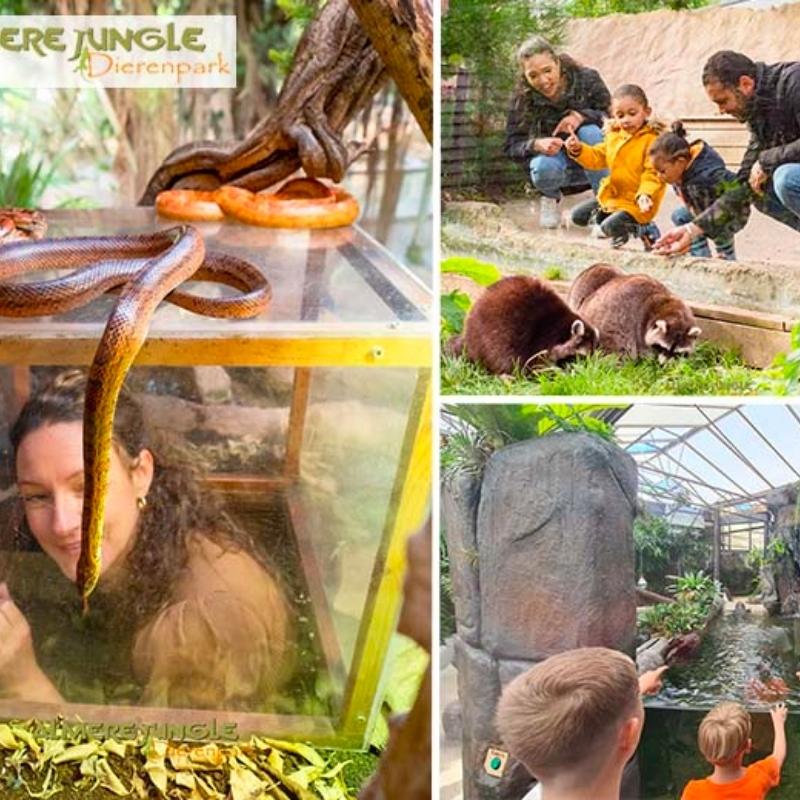 Tickets met korting voor dierenpark Almere Jungle