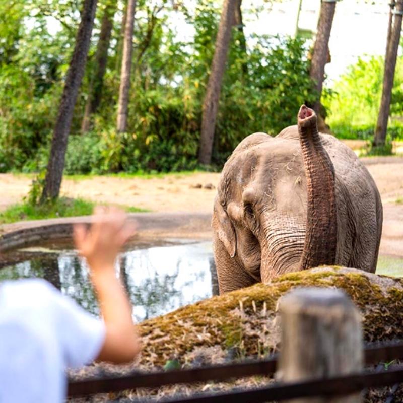 Tickets met korting voor Burgers' Zoo in Arnhem