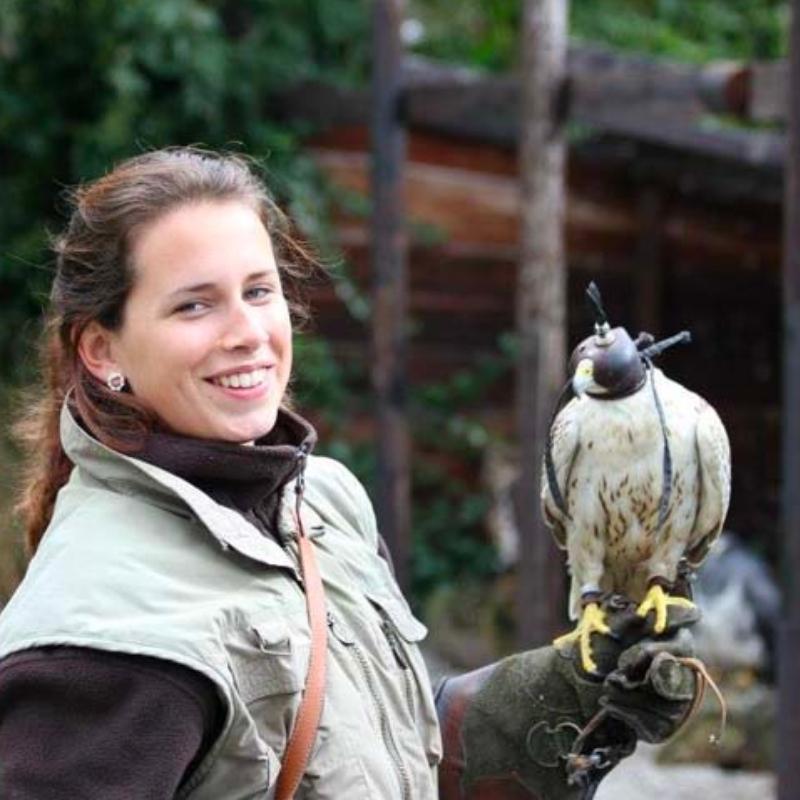 Tickets met korting voor Falcon Crest Eindhoven