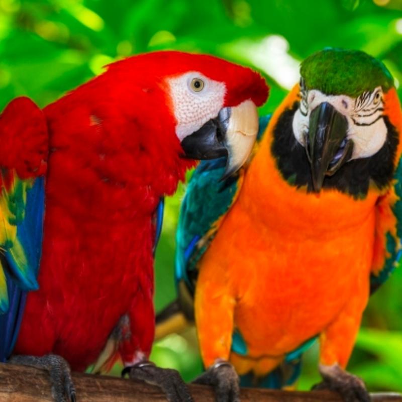 Ticket met korting voor Zoo Veldhoven