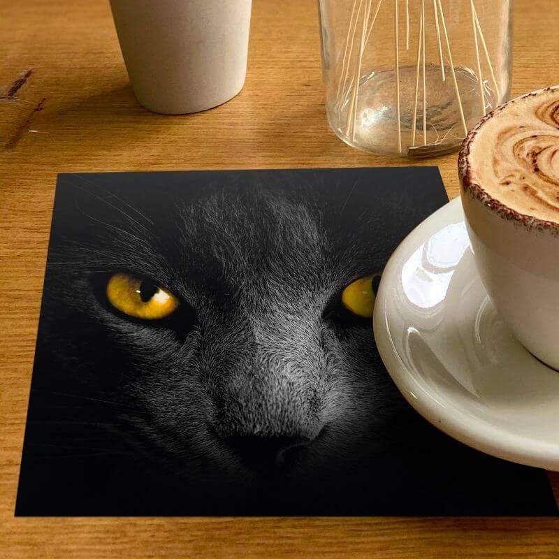 Onderzetters zwartte kat op koffietafel met glazen
