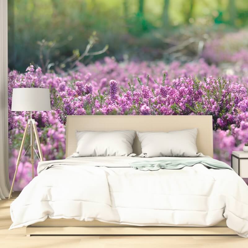 Slaapkamer fotobehang met opdruk van de paarse heide